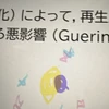 玉ねぎ