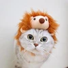 あゆみん