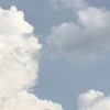hn