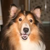 taka