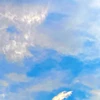 ぺー