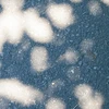 2006.snow