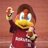 関西の鷲党