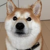 ryo09RYO