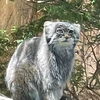 お米