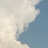 dededen