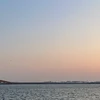 れ