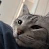 ささき
