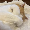 つや姐