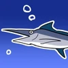 kajikimaguro052
