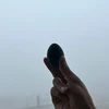 ひろ