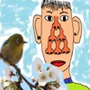 オニサワ