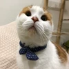 ひす