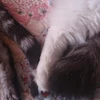 たかやん