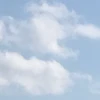 しゅー