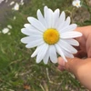 nanami