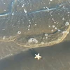 やもり