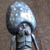 星界の使者