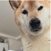 てて