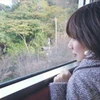 hinoki