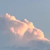ののノ