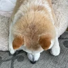 なんなん