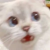 はる