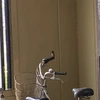 くろまめ