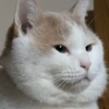おかゆ