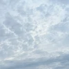 藍