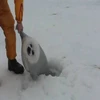 よもだ