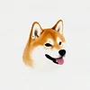 血と骨と犬