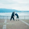 かも