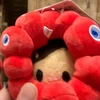 futchan_2525_