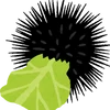 こやにえ
