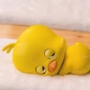 331