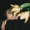 リ桜