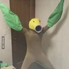 ナゾノクサぴょおおおおおおおお