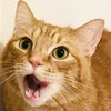 のりお