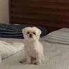 betty