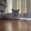ぺえ