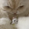 塩パン