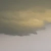 オノんじゃ