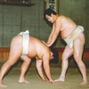 深層ニューラル残義林