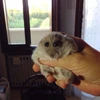 ふらいぱん