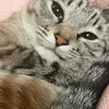 なな