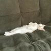 ゆきみ
