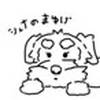 シュナのまゆげ