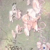 小雪
