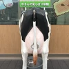 ちゃんゆい